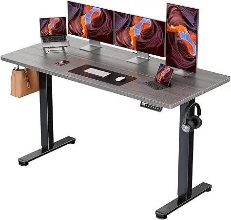 Height Adjustable Electric Standing Desk, 63 x 28 Inches Large Sit Stand up Desk, Large Memory Computer Home Office Desk with T - Emprize360