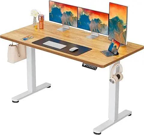 Height Adjustable Electric Standing Desk, 63 x 28 Inches Large Sit Stand up Desk, Large Memory Computer Home Office Desk with T - Emprize360