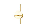 Golden trumpet